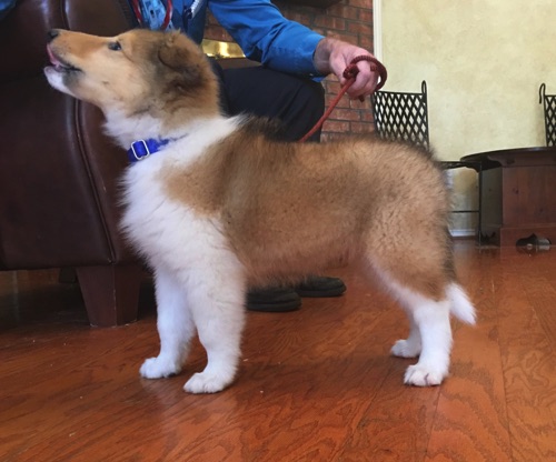 Thunder 8wk Thunder 8wk